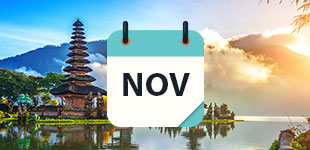 Nov 2020 Cruises