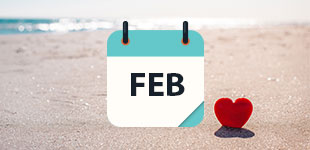 febraury 2021 Cruises