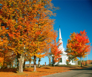 Autumn Leaves