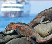 Galapagos Islands