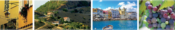 Holland America Line