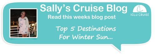 Sally's Cruise Blog - Explore Venice before it's too late?