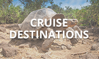 cruise destination