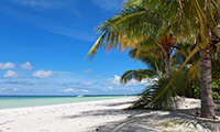 Caribbean