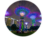 Gardens by the Bay