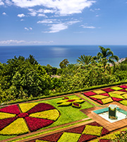 Canary Island cruises