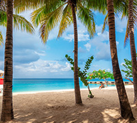Caribbean cruises