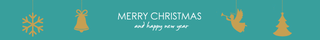 Merry Christmas from Iglu Cruise