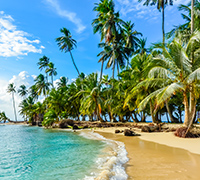 Caribbean cruises