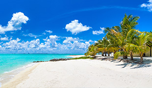 Caribbean Cruises