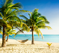 11 - 15 cruises