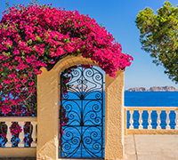 Mediterranean cruises