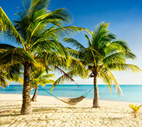Caribbean Cruises