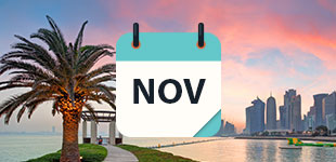 Nov 2020 Cruises