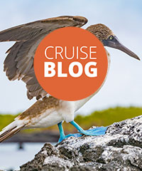 Galapagos