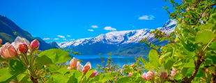 Top 10 Norwegian Fjords