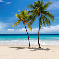 Caribbean