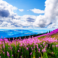 Spring holidays