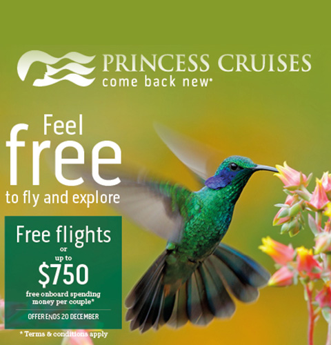 Princess free flights