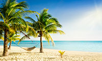 Caribbean