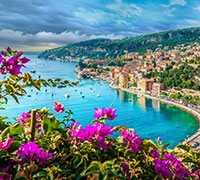 Mediterranean