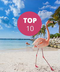 Top 10 Early bird 