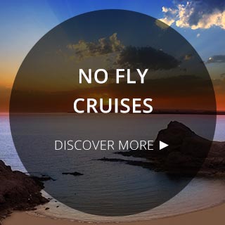 No fly