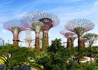 Gardens by the Bay