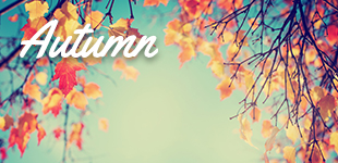 Autumn Cruises